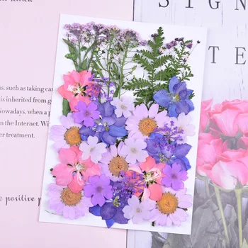 1 Krepšys, Violetinė, Džiovintų Gėlių UV Dervos Dekoratyvinių Natūralių Gėlių Lipdukai 3D Sausas Grožio Epoksidinės Dervos Pelėsių Pildymo Papuošalai Priėmimo 