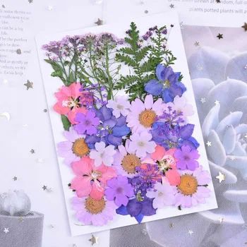 1 Krepšys, Violetinė, Džiovintų Gėlių UV Dervos Dekoratyvinių Natūralių Gėlių Lipdukai 3D Sausas Grožio Epoksidinės Dervos Pelėsių Pildymo Papuošalai Priėmimo 