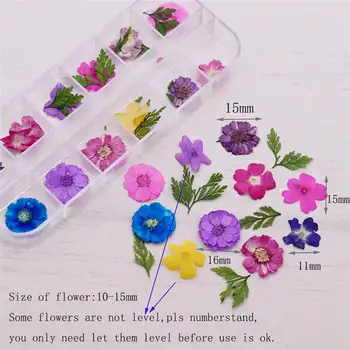 1box 36pieces 1-2cm mini gamtinių Gypsophila Paspaudus gėlių, Džiovintų gėlių stiklo pasaulyje užpildas pakabukai papuošalai priėmimo