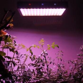2500W LED Grow Light Visą Spektrą Fitolamp Augalų Augimo Lempa, Žiedų viduje Auga Palapinė Laikas/Color Jungikliai Didelės Galios