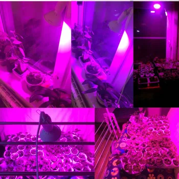 3-Head LED Augalų gėlė Auga Šviesos augalų auginimo Lempos growbox Palapinė Patalpų Daržovių Kambarys hidro E27 raudona mėlyna laikiklis Lemputės Įrašą