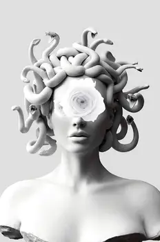 Drobė Menas, Plakatų Grafiti Meno Drobė Paveikslų Vaporwave Skulptūra Medusa Sienos Meno Padengti Veidą Medusa Nuotraukas
