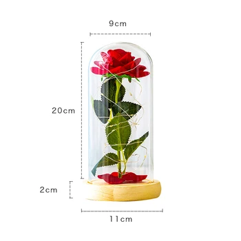 Eternal Rose LED Šviesos Grožį Žvėrys Stiklo danga Žavi Forever Rose Namų Dekoro Motinos, Valentino Diena Naujųjų Metų Dovana