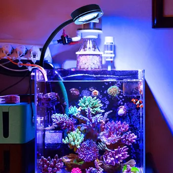 Jūrų Akvariumas LED šviesos koralų BIS LPS Akvariumas jūros Rifas Bakas Mėlyna Balta Pradedantiesiems 100v-240v 30-50 cm Jūros bakas
