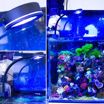 Jūrų Akvariumas LED šviesos koralų BIS LPS Akvariumas jūros Rifas Bakas Mėlyna Balta Pradedantiesiems 100v-240v 30-50 cm Jūros bakas