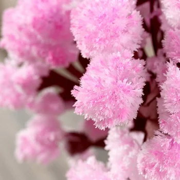 Magija Augančių Medžių Popieriaus Sakura Kristalų Medžių Darbalaukio Cherry Blossom Žaislai GHS99