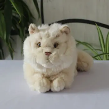 Minkštos Vaikų Žaislai Mergina Realiame Gyvenime Persų Katė Žaislas Pliušinis Lėlės Gimtadienio Proga Mielas