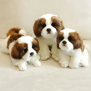 Prabangos kokybės Modeliavimas Pomerani pliušinis šuo šuns žaislas iškamša super aukštos kokybės, Tikroviškas žaislas, skirtas namų dekoro gyvūno savininkas