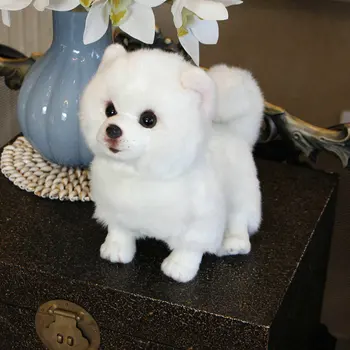 Prabangos kokybės Modeliavimas Pomerani pliušinis šuo šuns žaislas iškamša super aukštos kokybės, Tikroviškas žaislas, skirtas namų dekoro gyvūno savininkas
