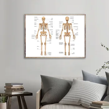 Žmogaus Kūno Anatomiją Drobė Sienos Meno Plakatas Spausdinimo Skeleto-Raumenų Sistemos Didaktinė Valdybos Nuotrauką Tapybos Studijų Kambario Apdaila